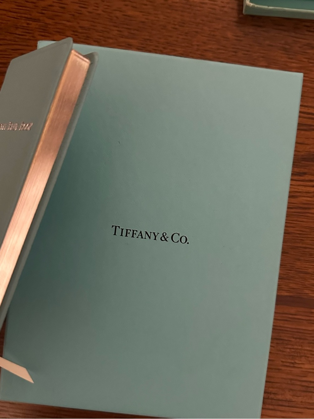 New Tiffany little blue Notebook